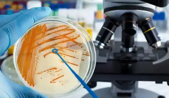 Murió la quinta persona por la bacteria estreptococo 