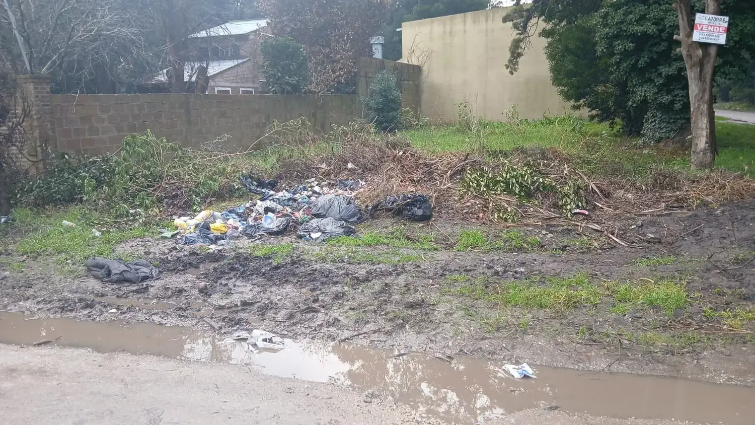 Basura Las Dalias