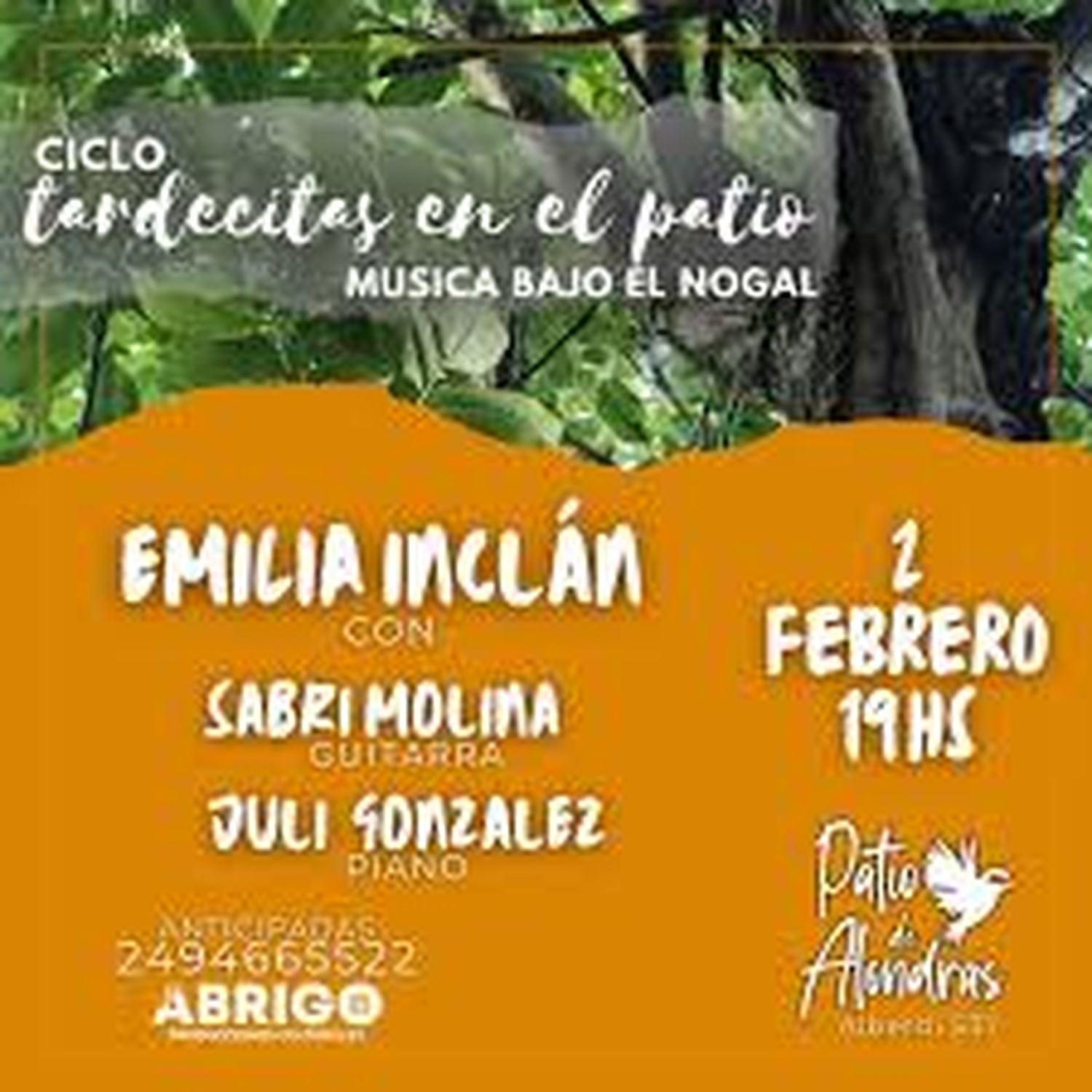 tardecitas