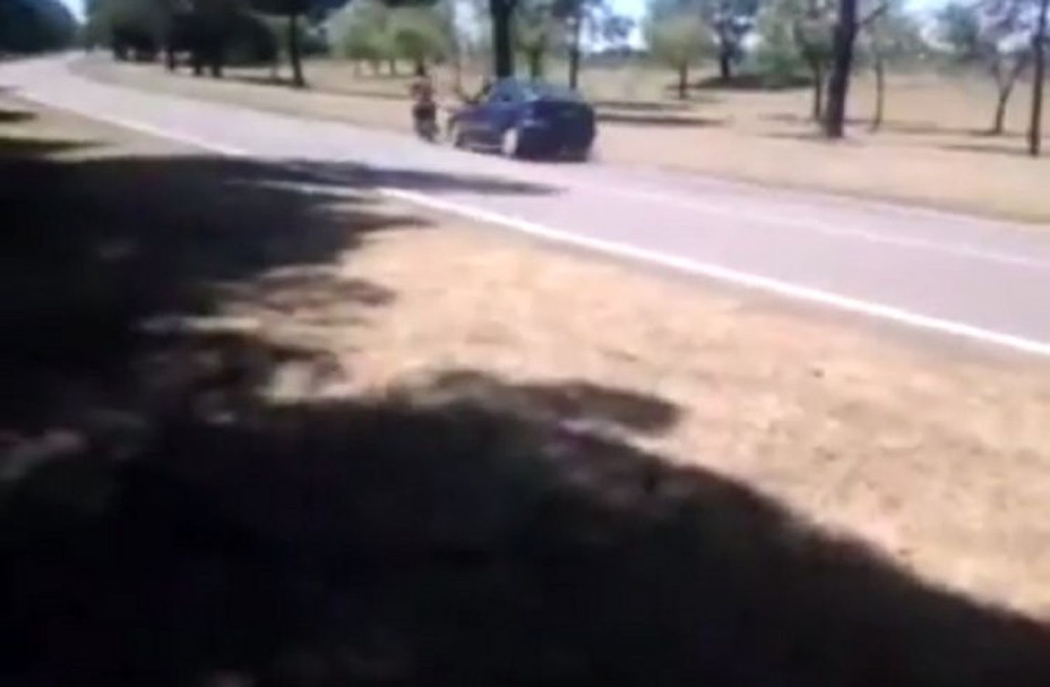 Video: Hacía piruetas con su moto y lo atropelló un auto