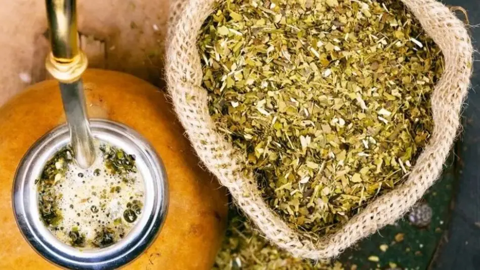 Exportaciones en alza, pero el consumo interno no mejora: ¿cómo se encuentra el mercado de la yerba mate?