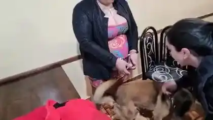 La investigación en su contra comenzó en julio de este año. El arresto se produjo en el mismo lugar donde fue capturada en 2015