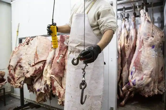 El Gobierno flexibilizaría las  exportaciones de carne vacuna