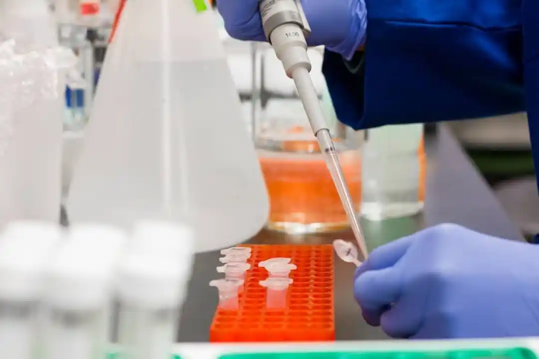 Coronavirus: 27 resultados negativos y 12 positivos