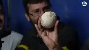 Hallazgo en vivo: un huevo de dinosaurio carnívoro sorprende al equipo del Conicet en la Patagonia