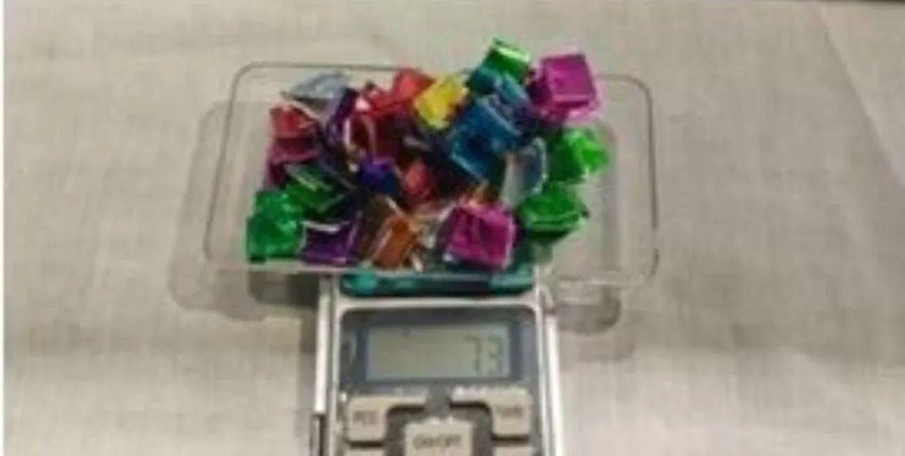 Con asistencia de Zeus, un perro adiestrado para detectar drogas, desbarataron una banda narco