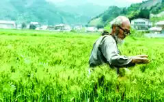 La agricultura natural, aquel espacio de desarrollo espiritual para quien produce alimentos