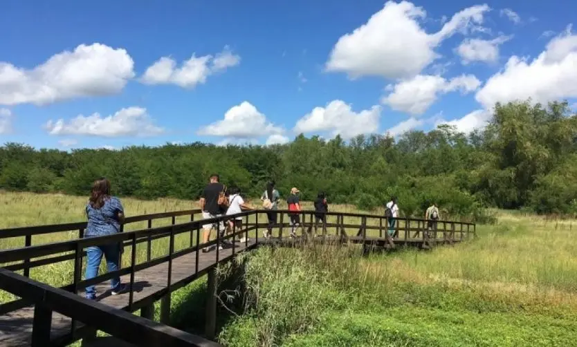 Llega una nueva jornada gratuita de avistaje de aves en la Reserva del Pilar
