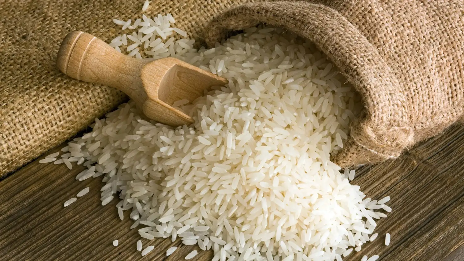 Científicos del Conicet descubren un arroz con 30% más proteínas