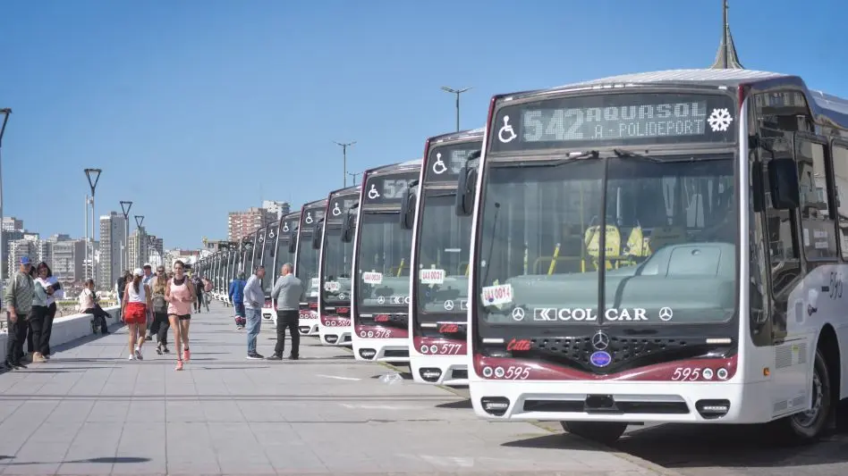 Presentaron nuevos colectivos y el proyecto de crear una línea anular en Mar del Plata
