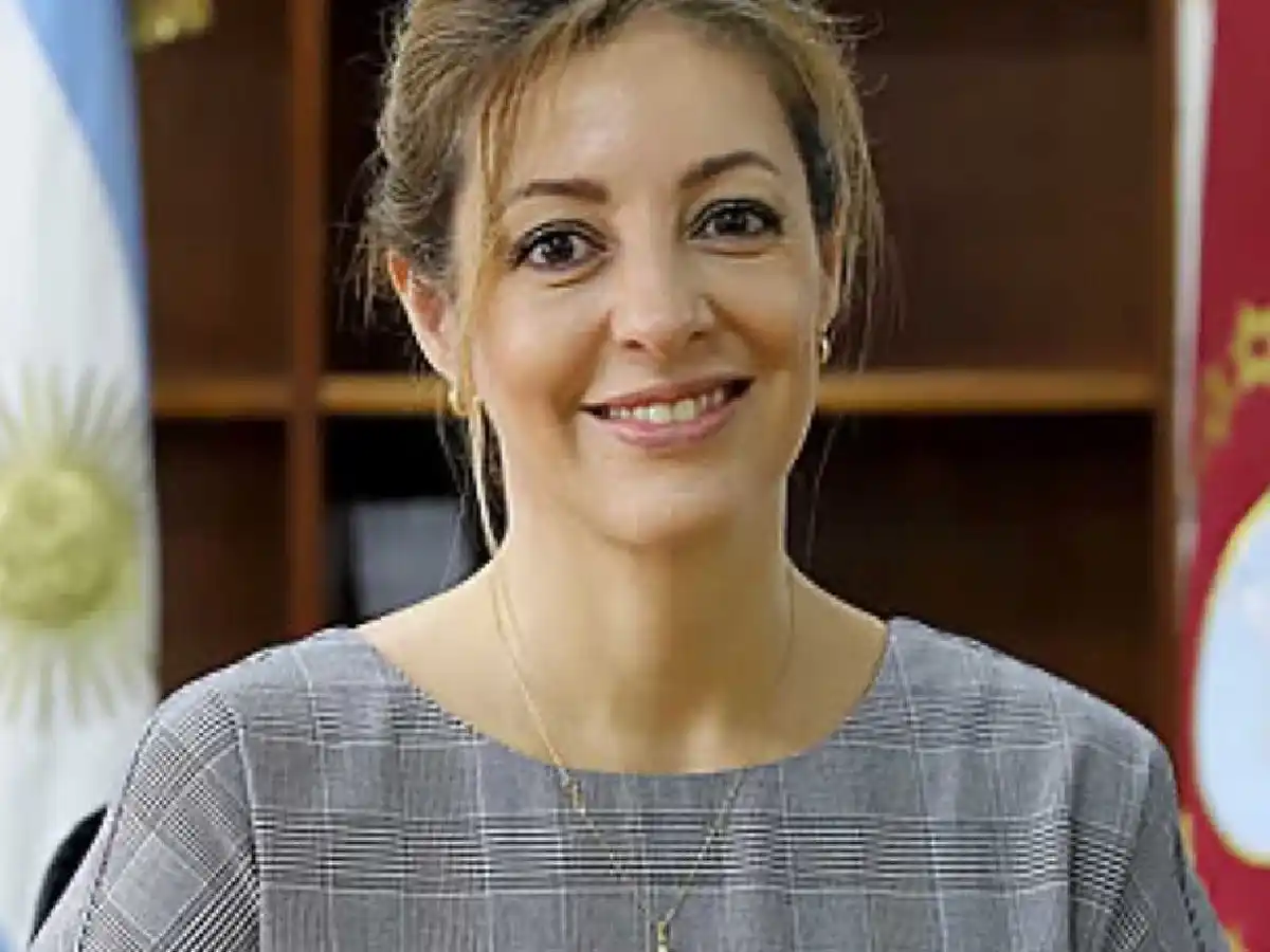 Renunció Darío Martínez y Sergio Massa designó a Flavia Royón en Energía