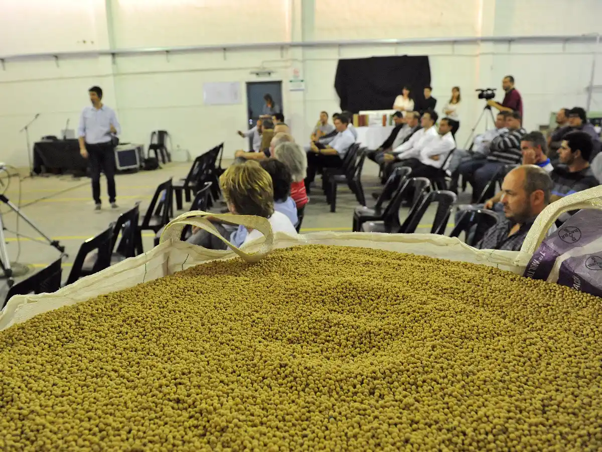 Tecnología para el tratamiento de semillas: la firma local 