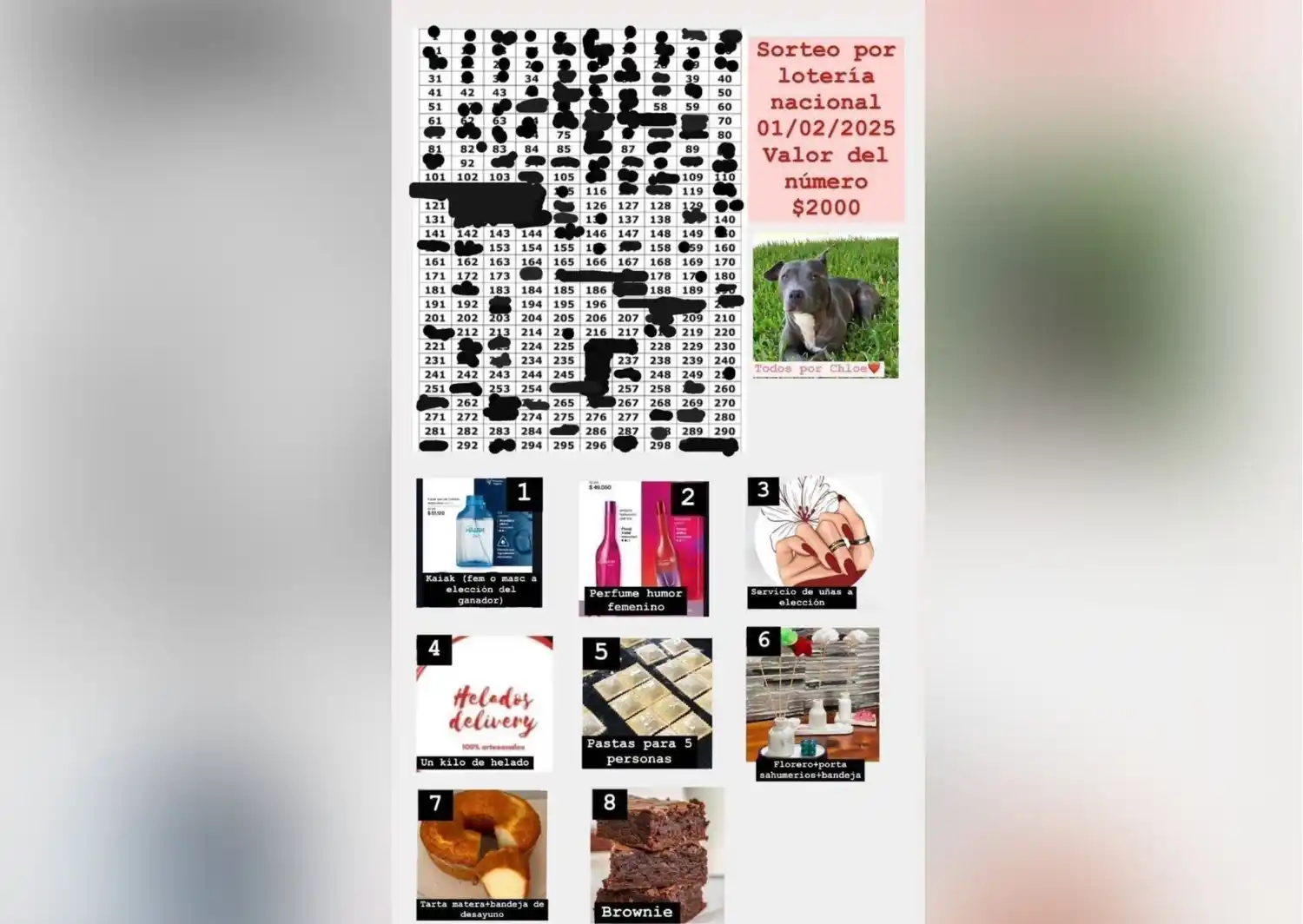 rifa solidaria para Chloe