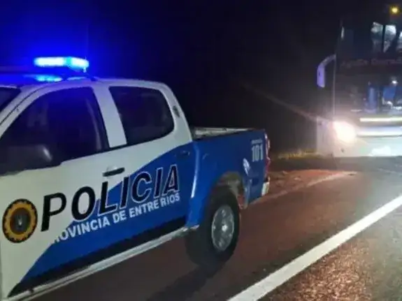 Un micro chocó contra un animal suelto en la Autovía 14 y el chofer tuvo que ser hospitalizado