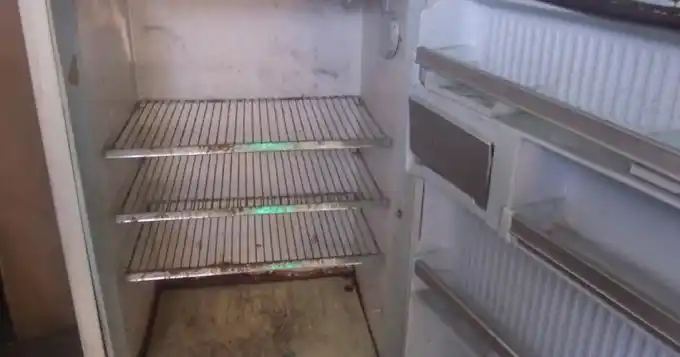 Horror en Pilar: Encerró a su bebé recién nacido en la heladera y lo mató