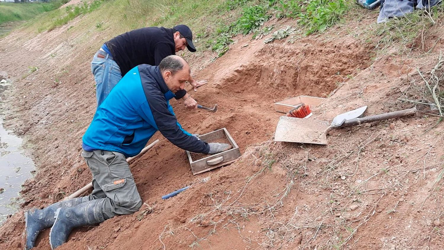 En la provincia de Buenos Aires encontraron restos de un Gliptodonte con marcas de origen humano