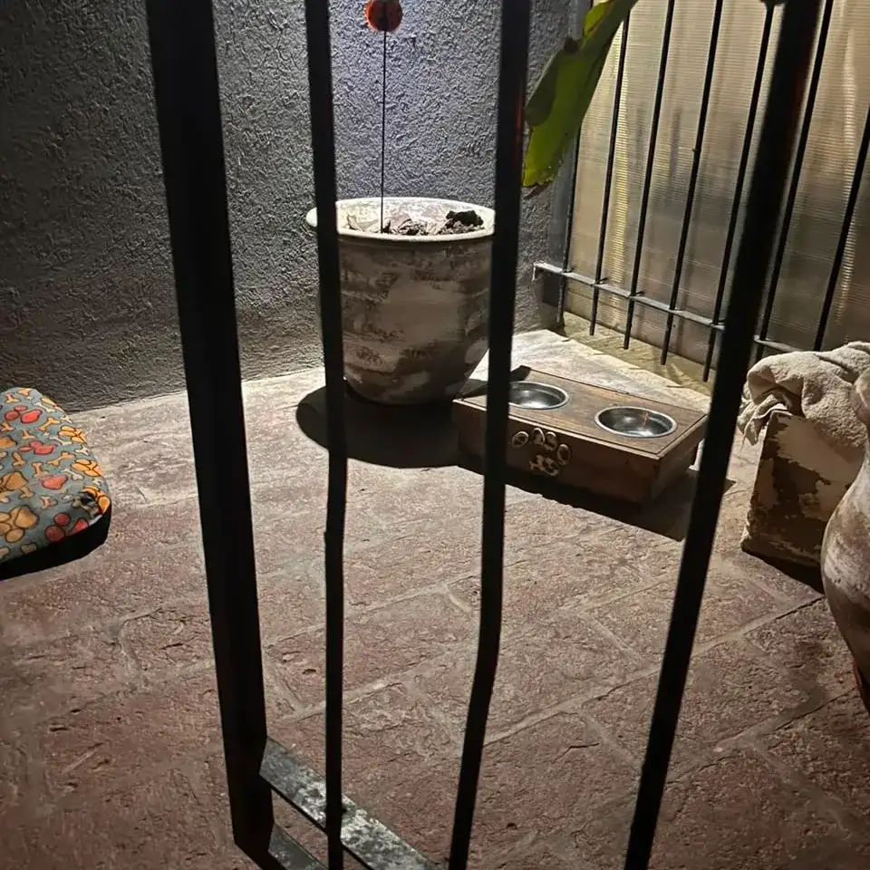 La reja en la que quedó atrapado el perro.