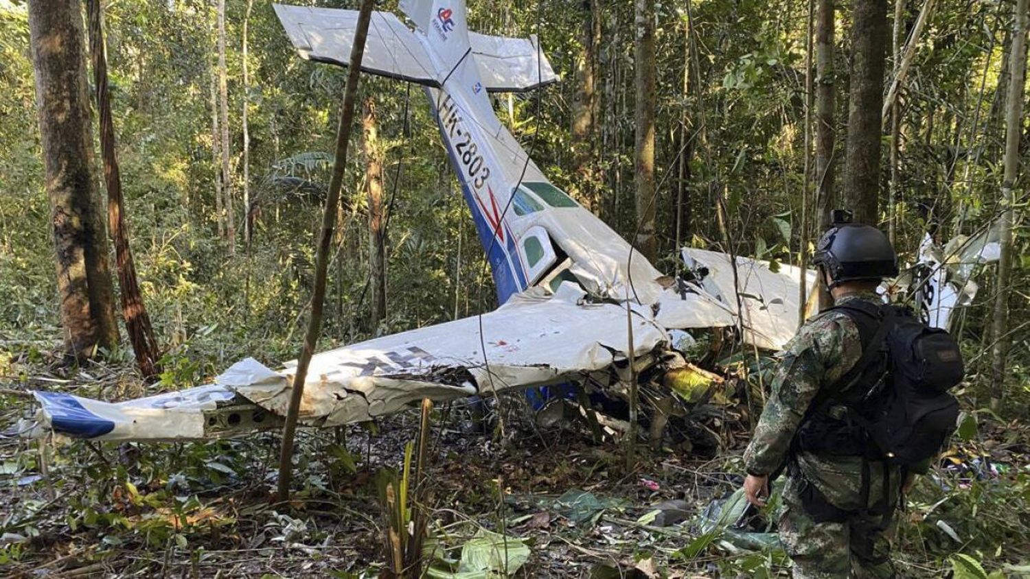 Milagro en la selva : encontraron con vida a los cuatro niños perdidos hace 40 días tras un accidente aéreo