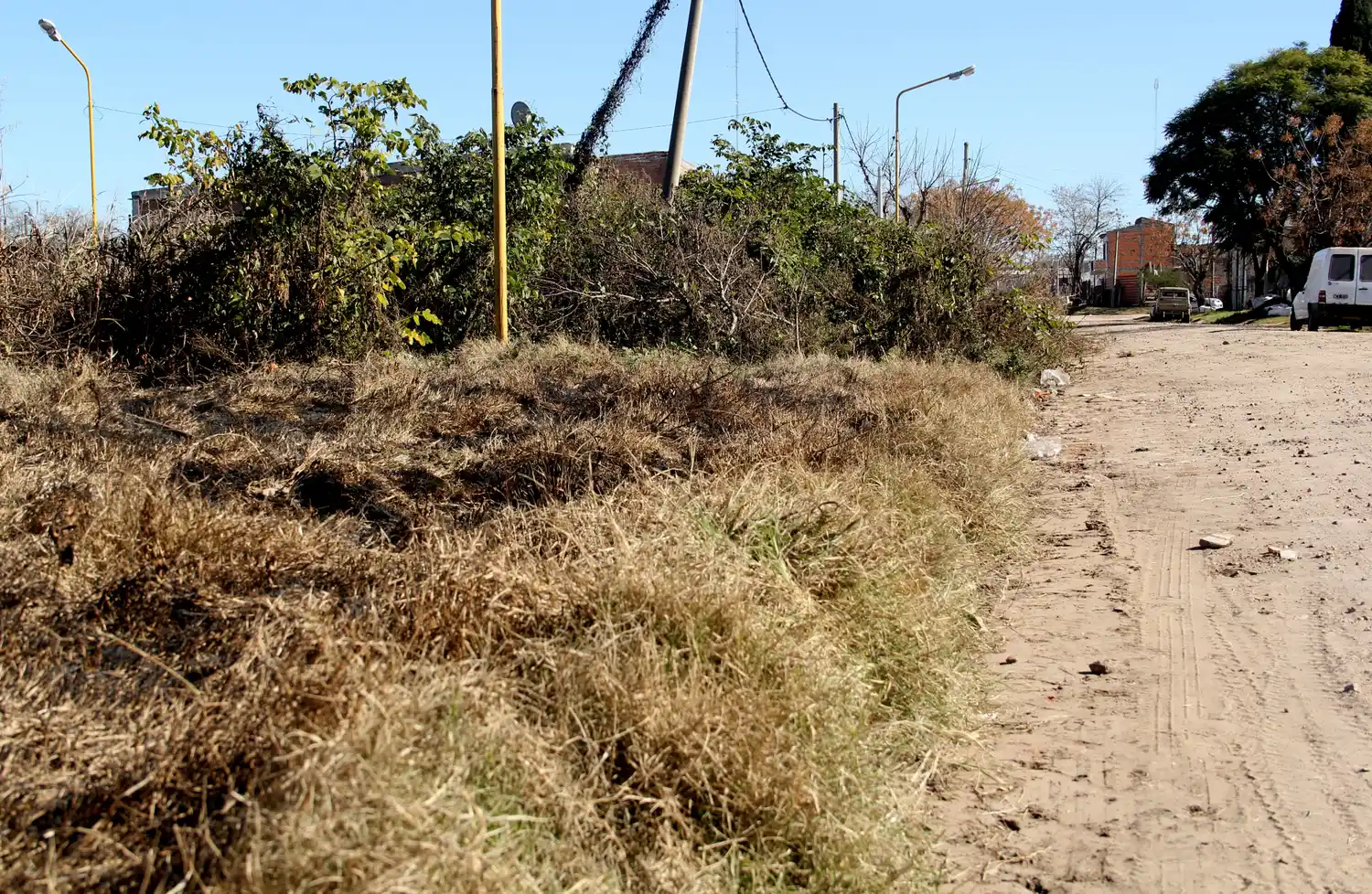 Baldíos sucios: Aplicarán multas que van desde los 5000 hasta los 8500 pesos