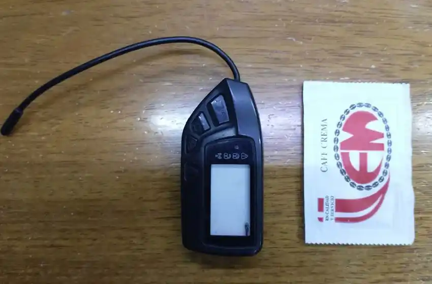 Pandora, la "vedette" delictiva que hará temporada en Mar del Plata