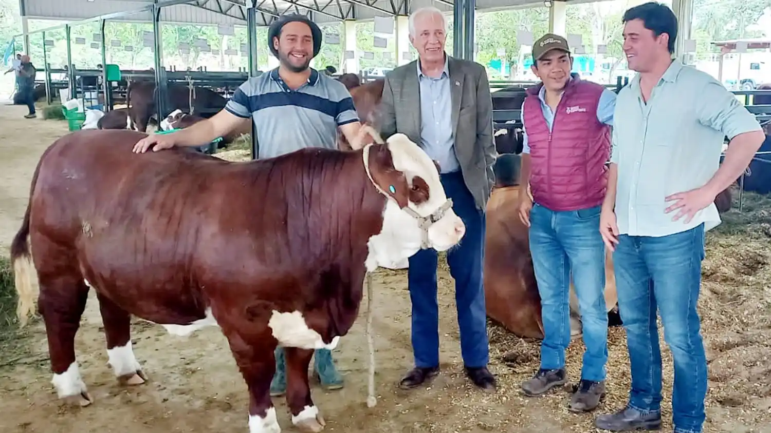 Destacada presencia de cabañeros entrerrianos en muestras ganaderas nacionales
