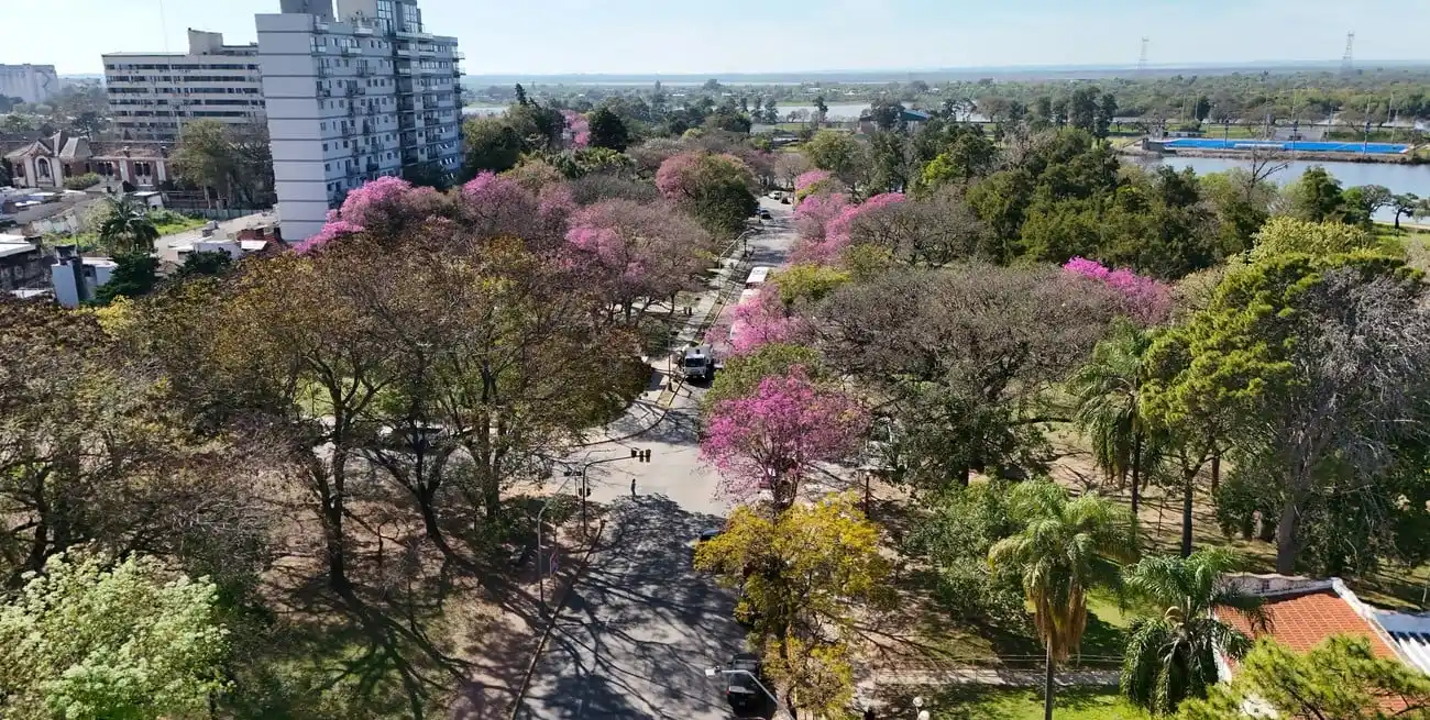 En los fundamentos y en los discursos, se destacó la importancia del arbolado para moderar la temperatura.