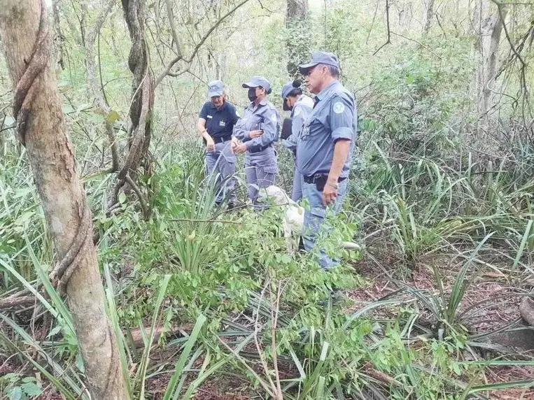 Una niña de cinco años fue hallada sin vida en la colonia Weitzel