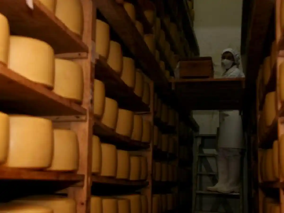 El mercado de lácteos, donde las segundas son primeras