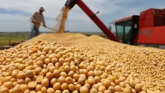 El Gobierno anunció una nueva baja de retenciones para los agroexportadores