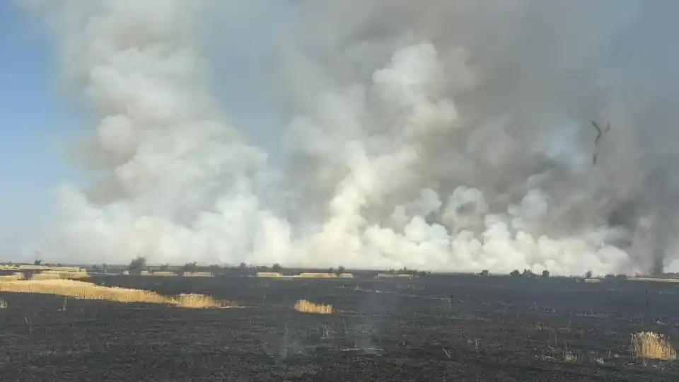 (Foto: Bomberos Voluntarios de San Francisco)
