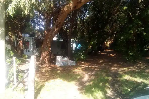 Acusado de robar en una casa le pidió “perdón a la víctima”