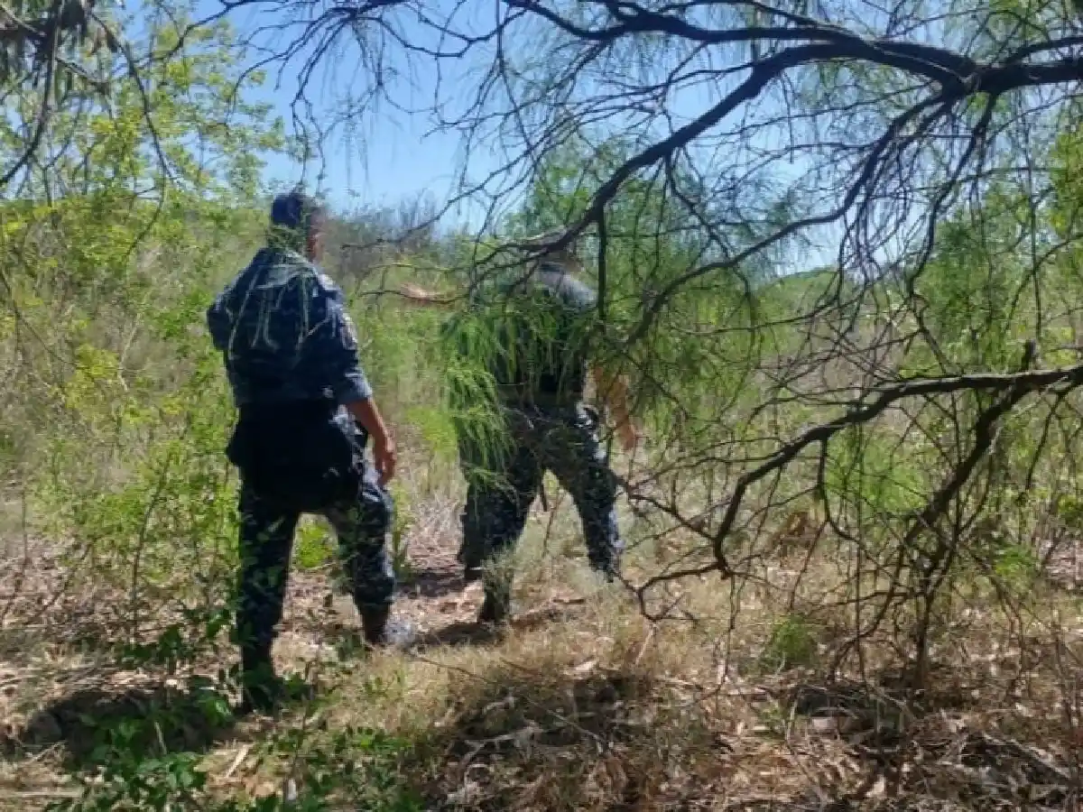 Encontraron el cuerpo de Eliana Pacheco en un descampado de La Plata