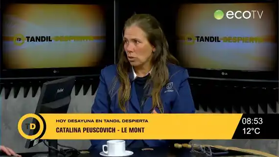 Le Mont Peugeot lanza una financiación de hasta $20 millones a tasa cero para el 208