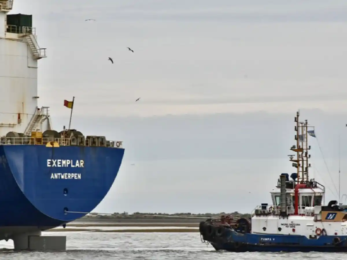 Se registró un récord de exportaciones de cereales y oleaginosas