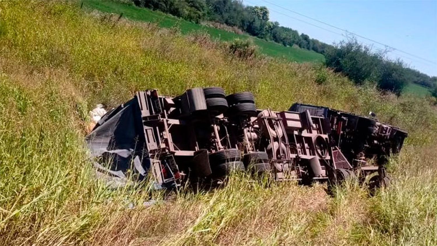 Camión despistó y volcó sobre la banquina en Ruta 11