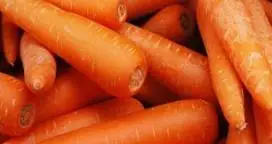 Descubren la clave del color naranja de la zanahoria