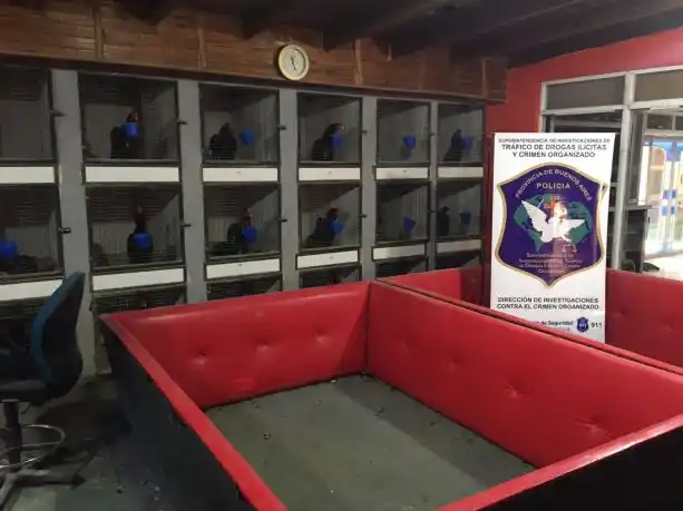 Florencio Varela: Allanaron el predio donde se grabó "Un gallo para esculapio"