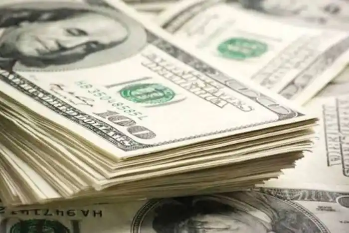 El dólar blue cerró $293 y subió $25 en la semana