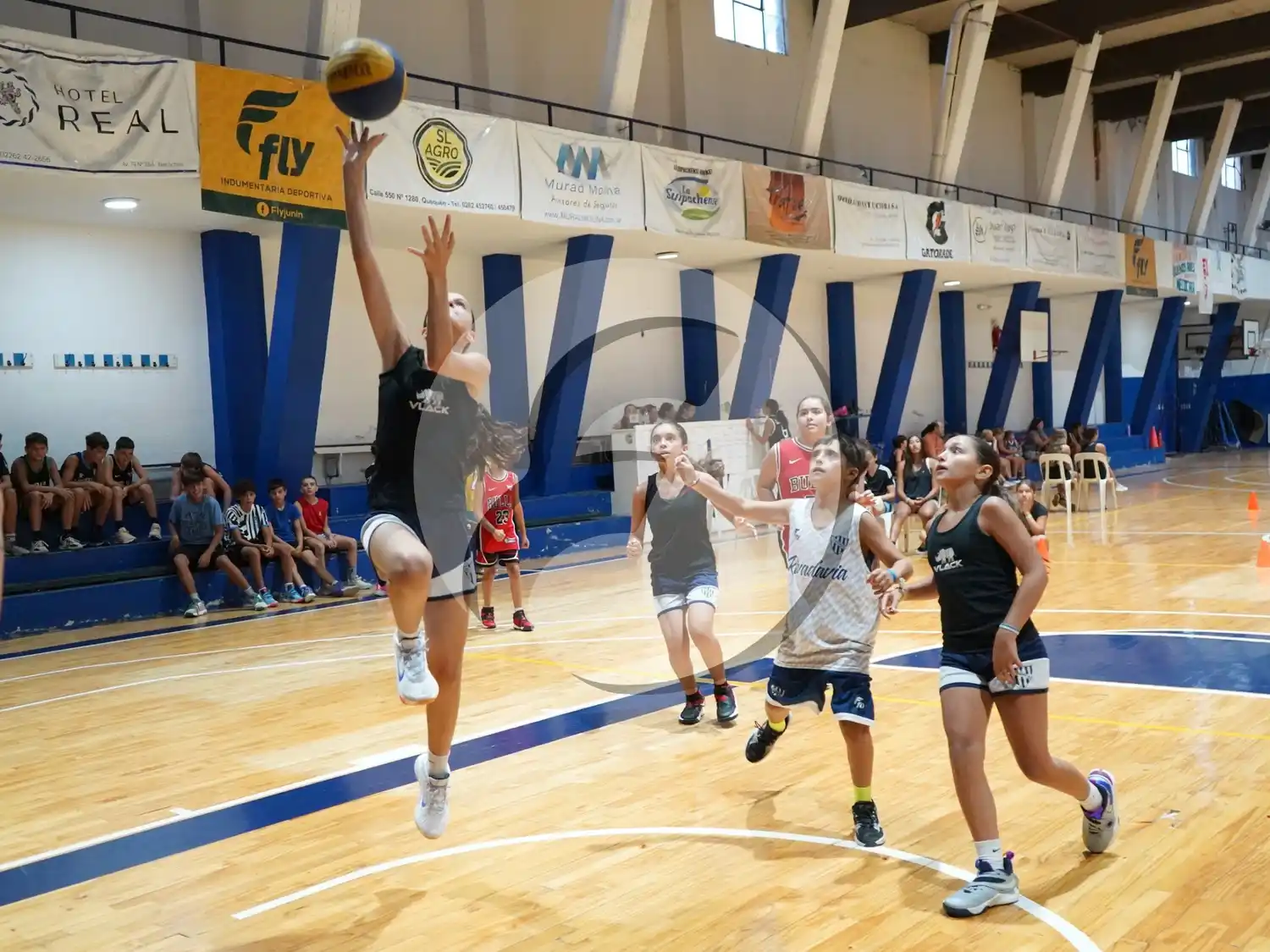 Básquet 3x3. "Hasta que cante el gallo" décima edición