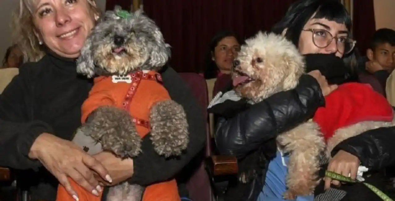Se llevó a cabo la primera función de cine para perros en Argentina
