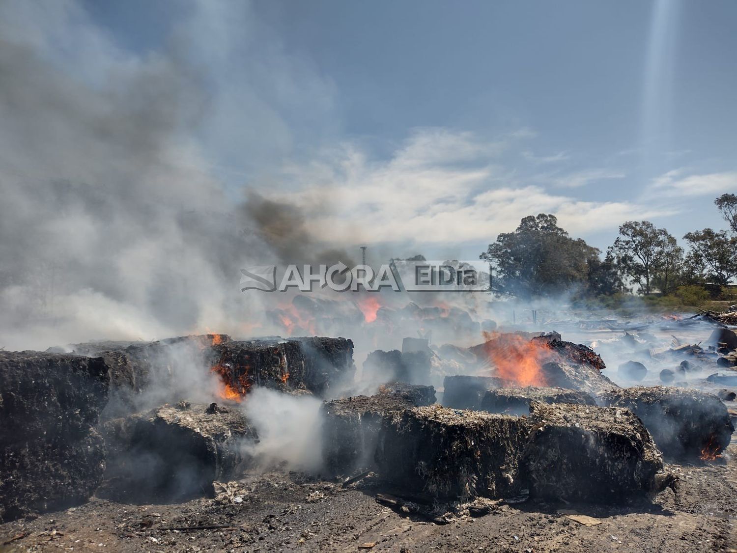 Se incendió una papelera y el operativo de control llevó más de 6 horas