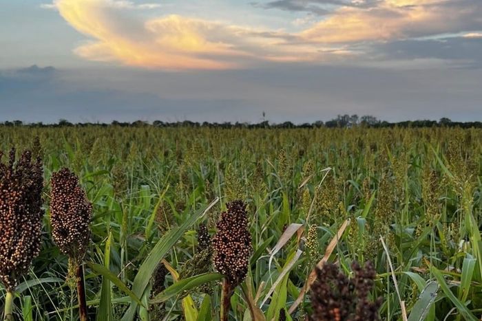 Perspectiva agroclimàtica