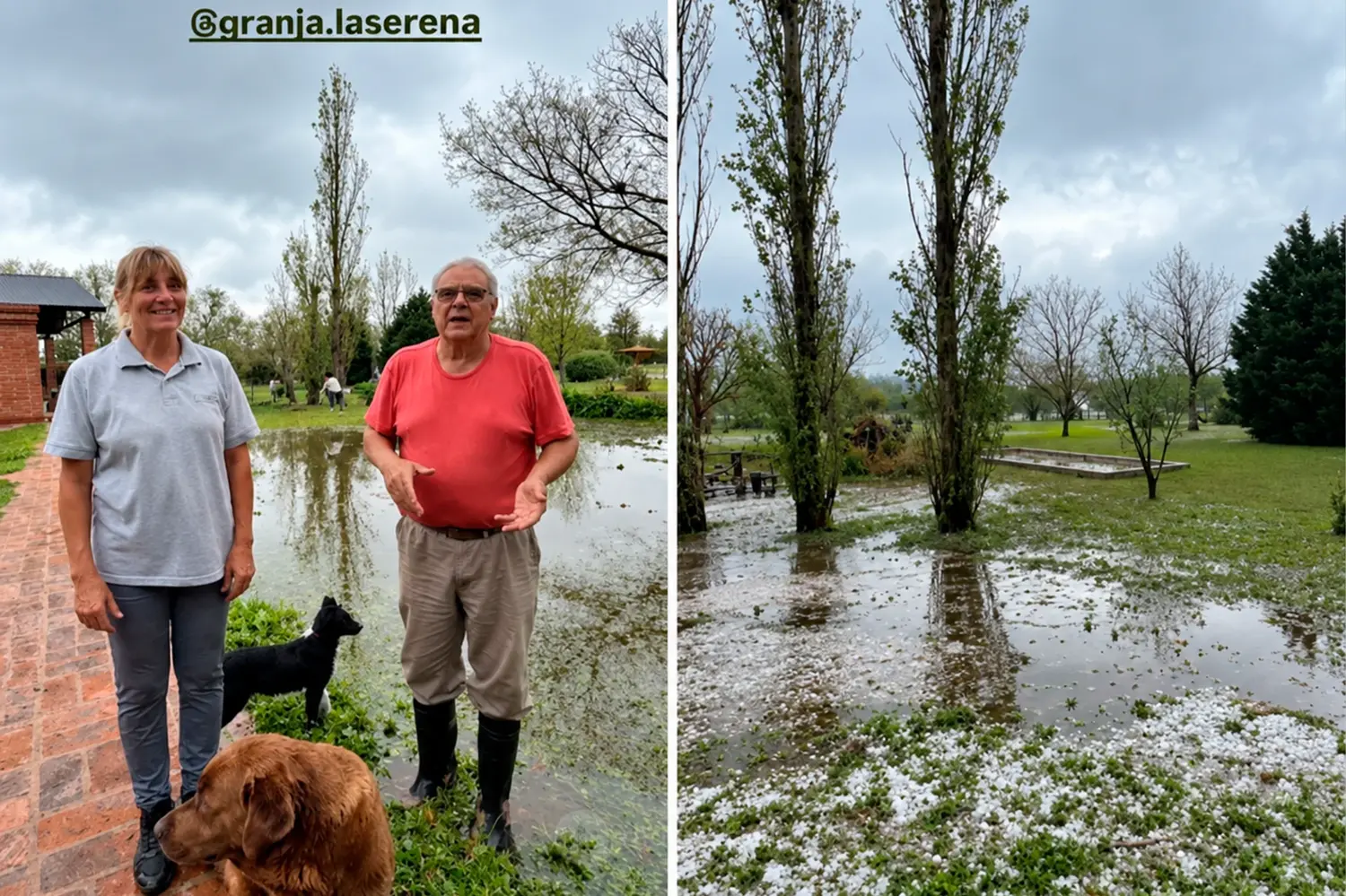 El temporal destruyó gran parte de Granja La Serena en Ataliva: “No quedó una planta sana, pero vamos a volver a empezar”