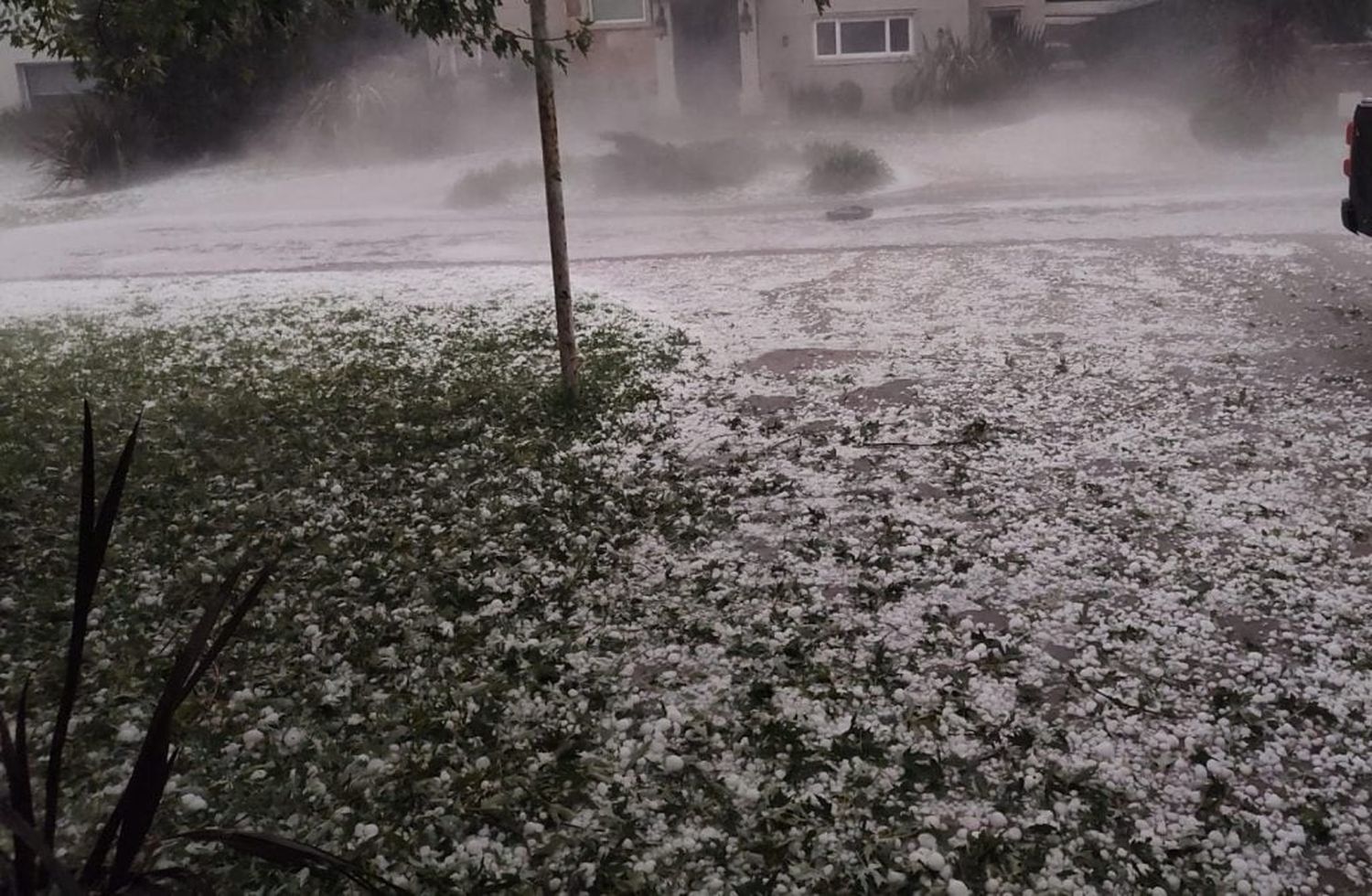 Temporal en Mar del Plata