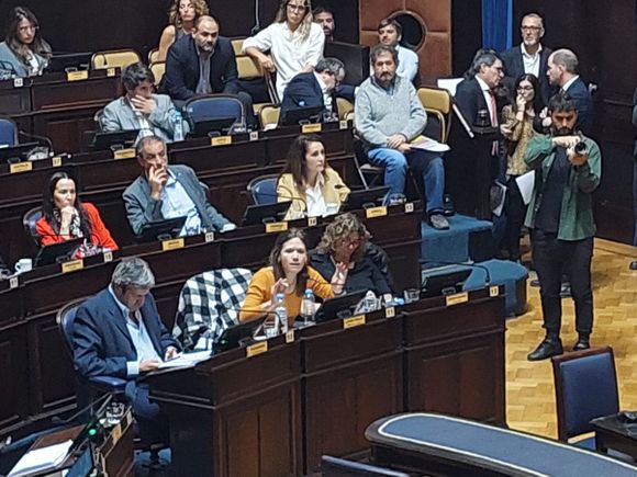 Suspensión de las PASO: Diputada de la izquierda criticó las condiciones de desigualdad para partidos pequeños