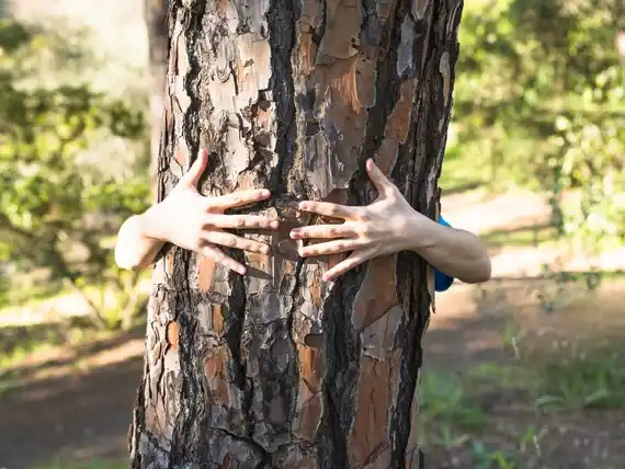 Ecopsicología, el modo de poner en práctica la vuelta a lo silvestre y la reconexión con la naturaleza