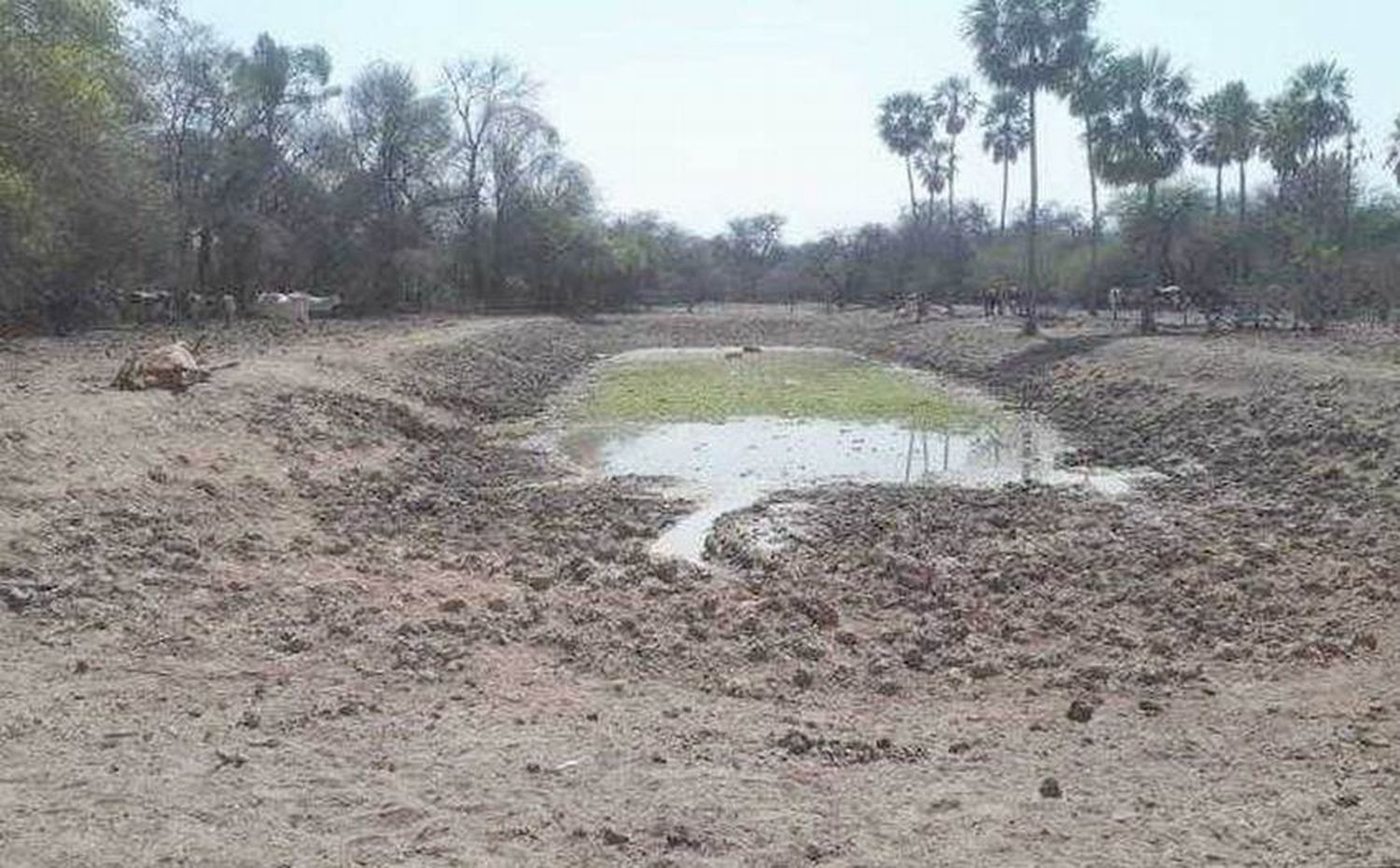 Desde el INTA advierten sobre la dramática 
sequía en el NEA debido al fenómeno de La Niña