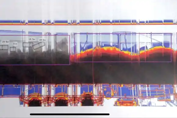 Con escáner y una perra entrenada, detectaron a un camionero llevando casi una tonelada de droga escondida entre arroz