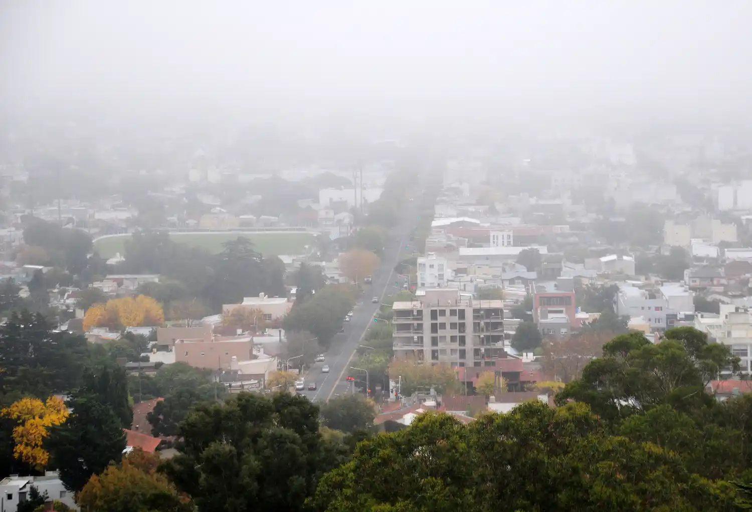 Rige una advertencia violeta en Tandil por la presencia de niebla persistente.
