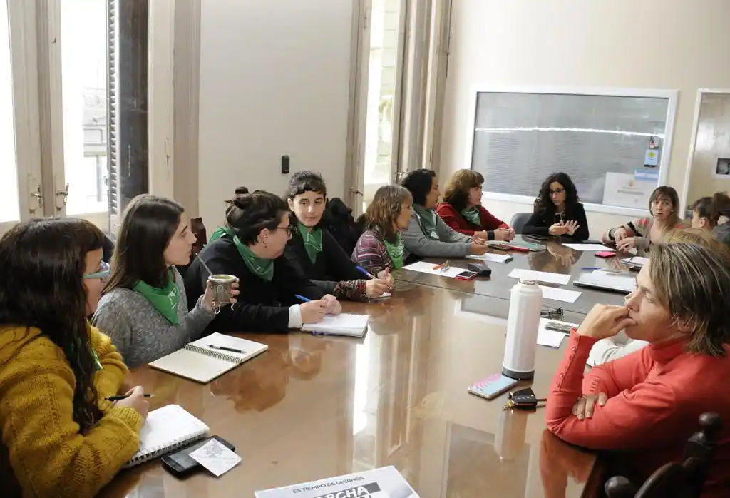 Organizaciones solicitaron al Concejo un posicionamiento por la despenalización del aborto